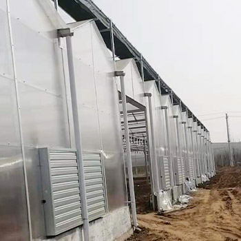 陽光闆溫室
