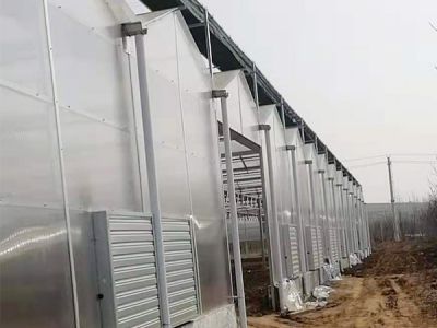 陽光闆溫室