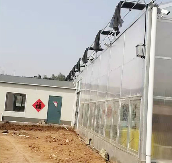 陽光闆溫室