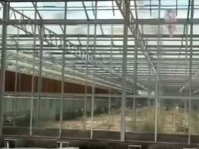 客戶案例